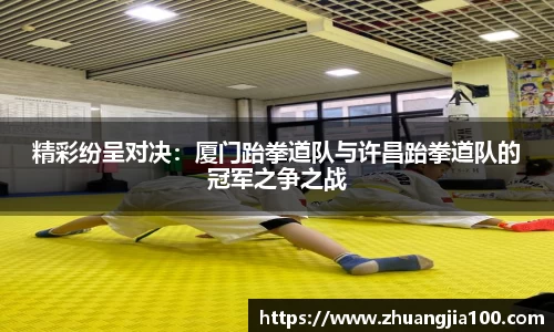 精彩纷呈对决：厦门跆拳道队与许昌跆拳道队的冠军之争之战